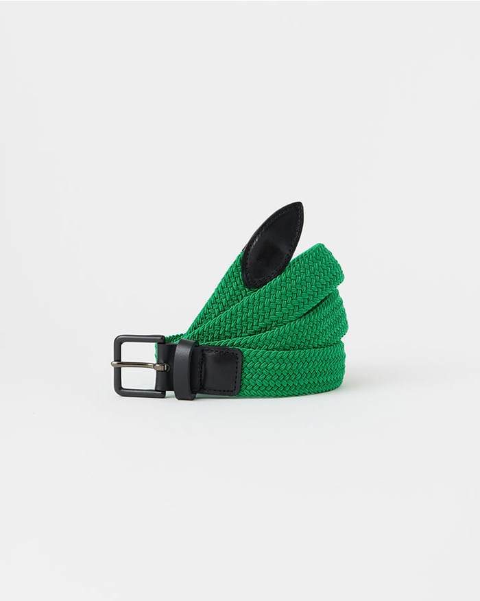 MESH BELT