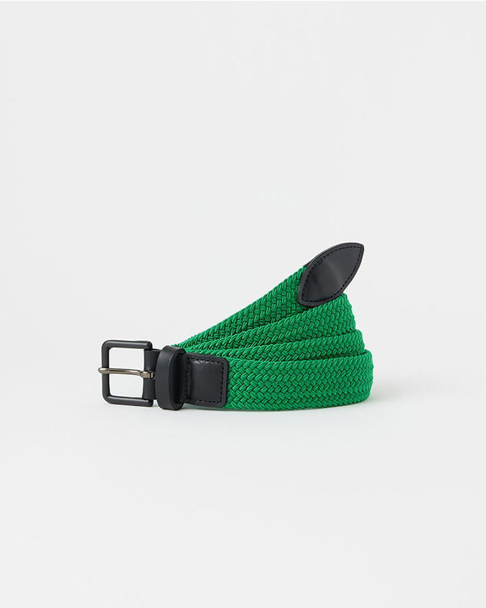 MESH BELT 詳細画像 GREEN 2