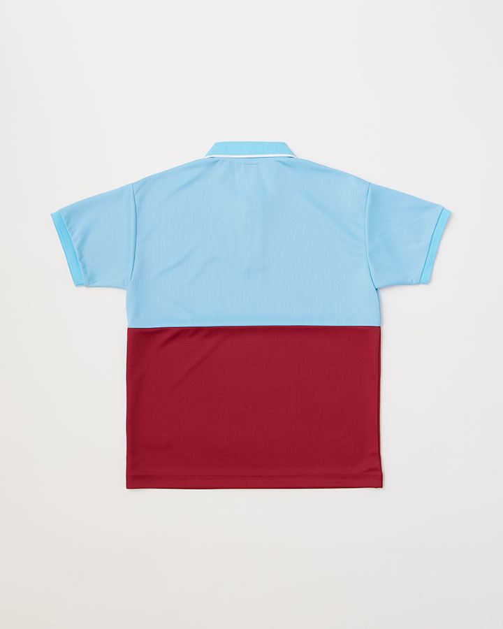 COLOR PANEL GOLF SHIRT 詳細画像 SAX/PURPLE 2