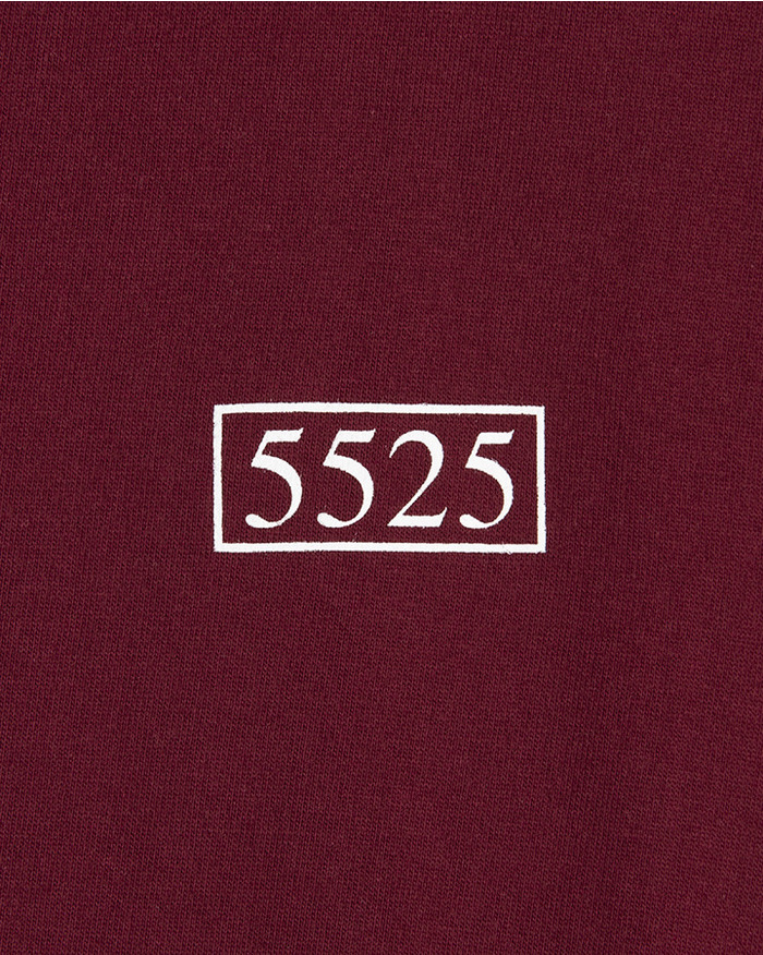 5525 BOX LOGO TEE 詳細画像 BURGUNDY 3