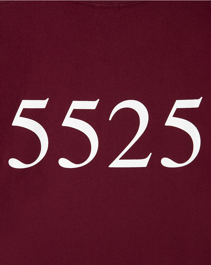 5525 BOX LOGO TEE 詳細画像 BURGUNDY 7