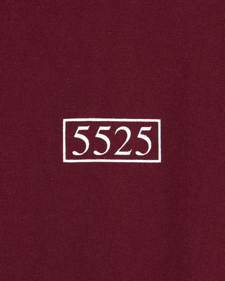 5525 BOX LOGO TEE 詳細画像 BURGUNDY 3
