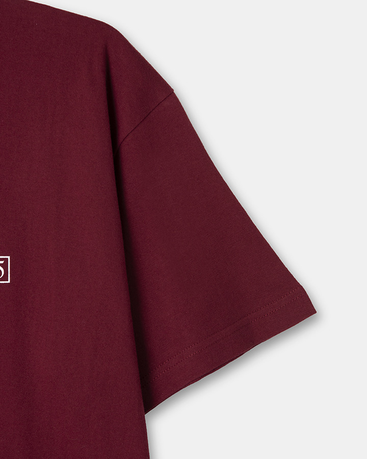 5525 BOX LOGO TEE 詳細画像 BURGUNDY 4